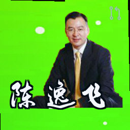 陈逸飞